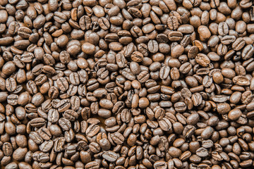 Coffee in beans 