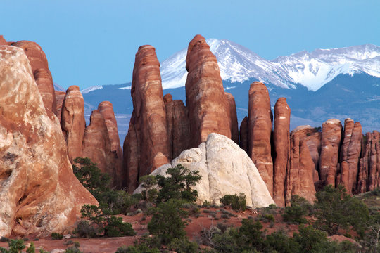Fins at Arches