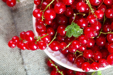 Fresh red currants in bowl on table close up