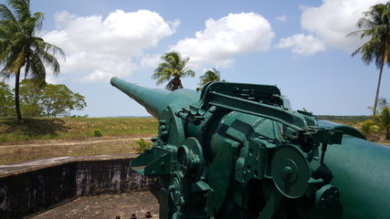 Fototapeta na wymiar Old canon in New Amsterdam Surinam