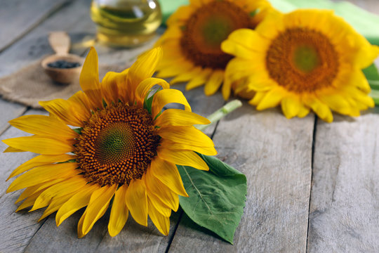 Beautiful bright sunflowers with bottle of oil on wooden table close up