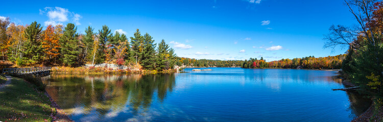 View of colorful trees during Autumn season at Killarney Provincial Park Canada
