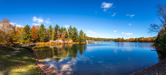 View of colorful trees during Autumn season at Killarney Provincial Park Canada