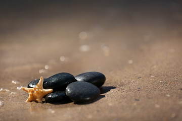 Pebbles with starfish on seashore