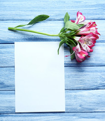 White sheet and rosy blossom on blue wooden background, empty space