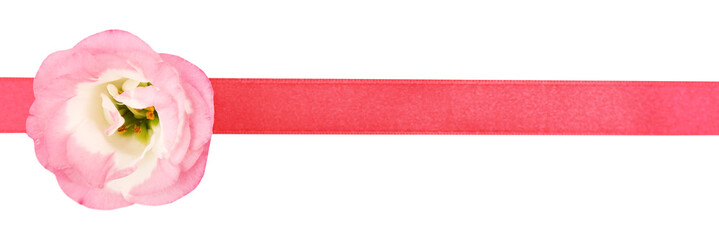 Red ribbon with pink flower isolated on white