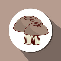 Healthy food and vegan lifestyle