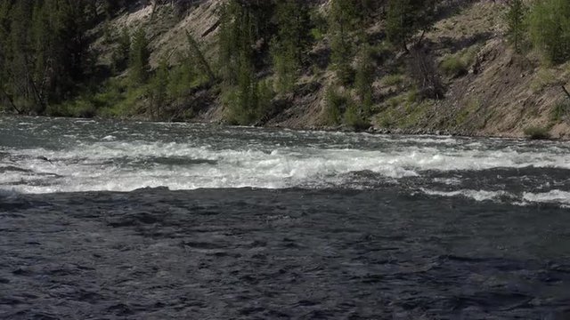 Yellowstone River water rapids mountain valley bugs flying 4K