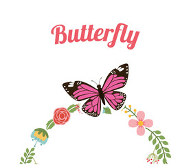 beautiful butterfly frame 