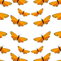 beautiful butterfly frame 