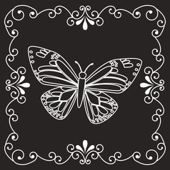 beautiful butterfly frame 
