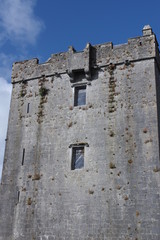 Fototapeta na wymiar Dunguaire Castle 6