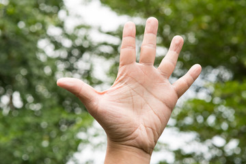 hand wiith five fingers