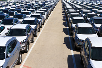 Rows of new cars covered in protective white sheet
