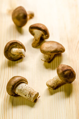 fresh shiitake mushrooms isolated on wooden table background