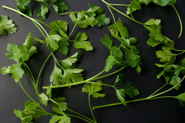 Parsley leaves herb on black background