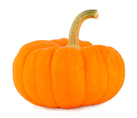 Pumpkin on a white background, pumpkin on white the isolated 