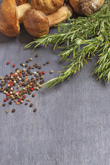 Some mushrooms boletus with condiment and rosemary