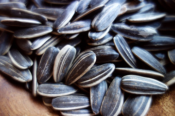 sunflower seed