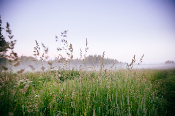 Beautiful thick fog sunrise Autumn Fall landscape over fields wi