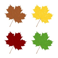 Four colors maple leafs illustration
