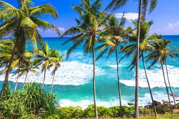 wild beautiful beaches of Sri Lanka