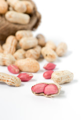 seed peanut isolated