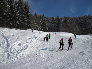 Young people taking a winter walk, rear view