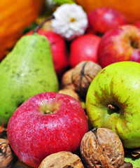 Still-life picture with autumn fruits.