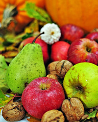 Naklejka na ściany i meble Still-life picture with autumn fruits.