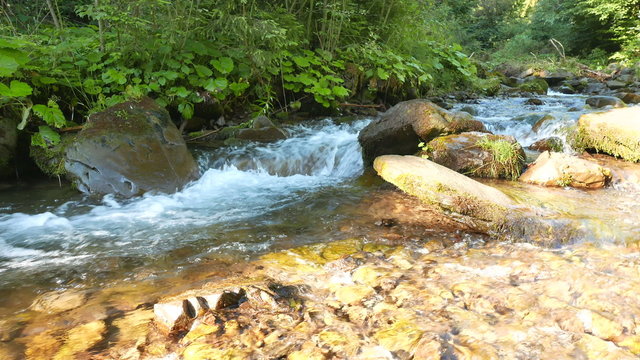 
Beautiful  mountain stream   un sunny summer day.  4K 3840x2160. 
