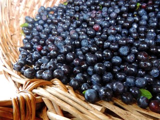 basket filled with blueberries