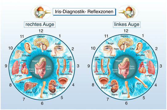 Iris-Diagnostik. Krankheiten erkennen. Augendiagnose