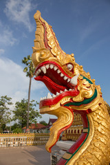 Fototapeta na wymiar King of nagas or Thai gloden dragon