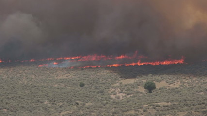 Wildfire intense dangerous flames and smoke P HD 0715