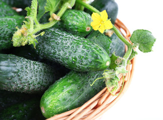 Wicker basket with cucumbers isolated on white