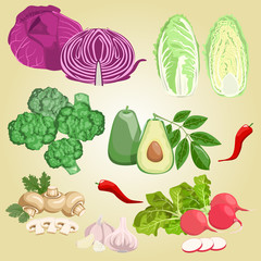 Set of vegetables