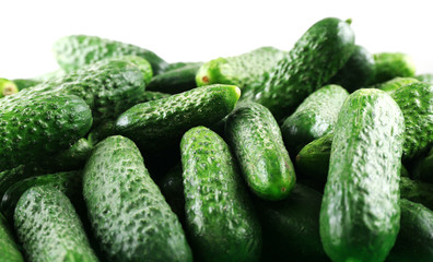 Ripe cucumbers on light background closeup