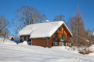 Winter in alps