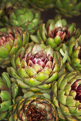 Organic artichokes