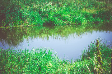 Green Forest and River Retro