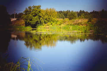 Fototapeta premium Green Forest and River Retro