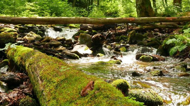 
Beautiful  mountain  stream  stones with  green moss  and log. Landscape in  4K 3840x2160. 
