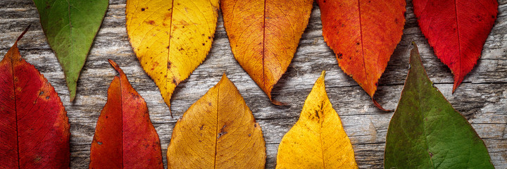 Colorful autumn leaves on wooden background - Powered by Adobe