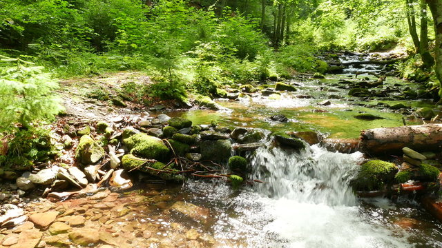 

Mountain  stream with  stones in wood, sunny day. Landscape in  4K 3840x2160. 
