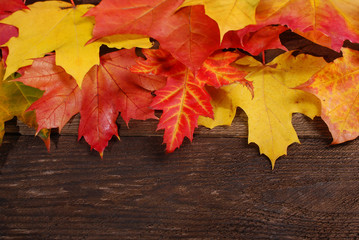Naklejka na ściany i meble autumn leaves border on wooden background