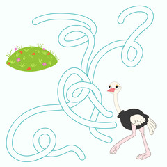 Layout for game labyrinth find a way ostrich 