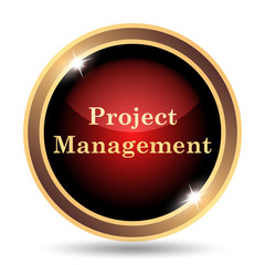 Project management icon