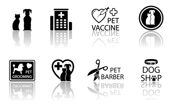 veterinary icon set with reflection