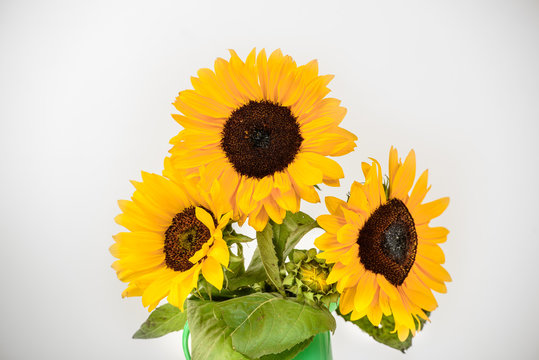 Bouquet of sunflowers in green vase on wooden table